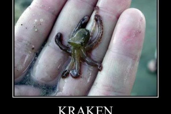 Kraken 5at