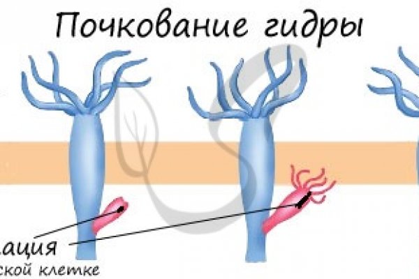 Кракен официальный сайт 2krnk cc